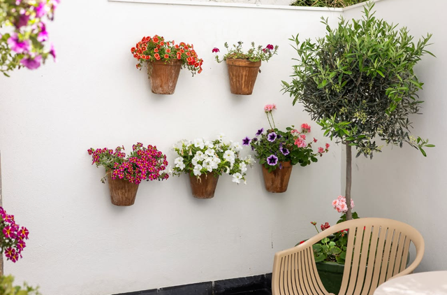 Proyecto Hotel Aristoy