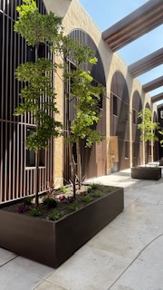 Urbanización de la Riva Sherry Homes 1