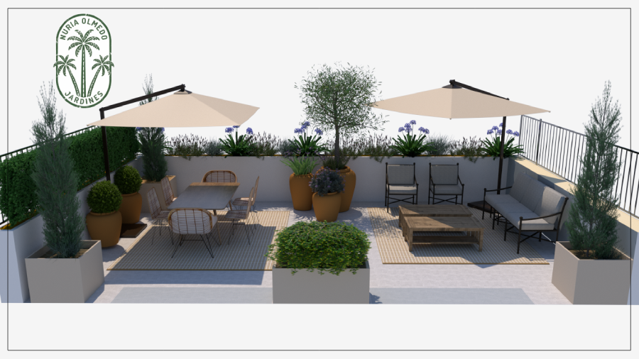 Terraza 